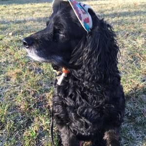 Meet your Posher, Nancy